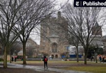 Yale Again Fails to Properly Address Campus Sexual Assault