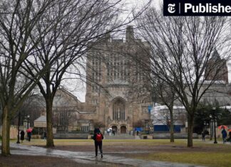 Yale Again Fails to Properly Address Campus Sexual Assault