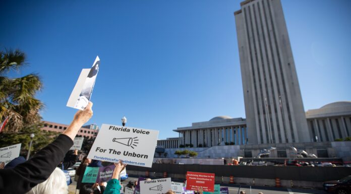 Florida Legislature Passes Fetal Homicide Bill: What It Means for Reproductive Rights