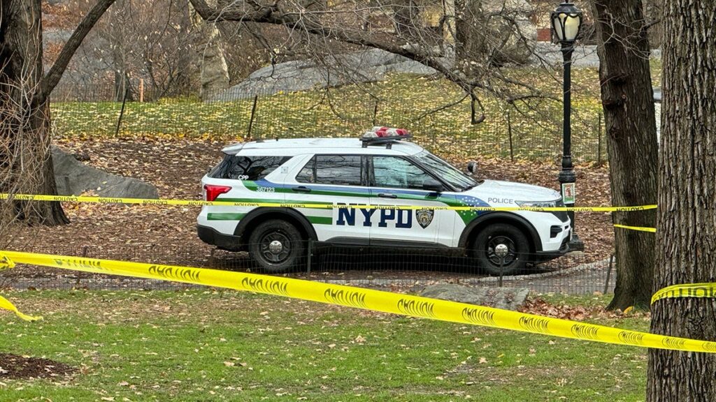 Women Attacked by Mob in Central Park in Disturbing Public Assault