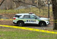 Women Attacked by Mob in Central Park in Disturbing Public Assault
