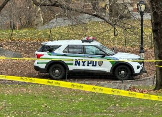 Women Attacked by Mob in Central Park in Disturbing Public Assault