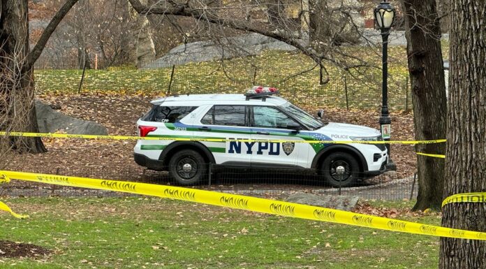 Women Attacked by Mob in Central Park in Disturbing Public Assault