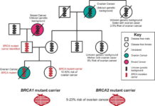 Women’s Age Genes Affect Ovarian Cancer: New Insights into Genetic Risk Factors