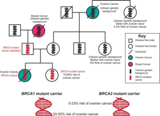 Women’s Age Genes Affect Ovarian Cancer: New Insights into Genetic Risk Factors