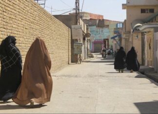 Senator Boxer Raises Plight of Afghan Women During Powell Hearing