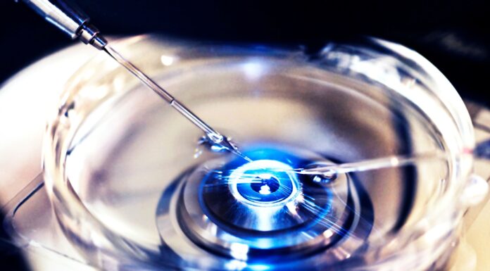 Federal Guidelines for Embryo Research Set to Be Released