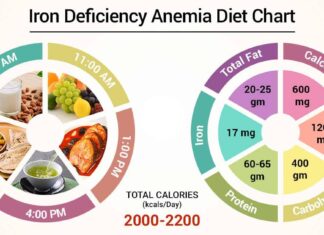 Millions of Women Have Low Iron Levels: The Importance of Addressing Nutritional Deficiencies