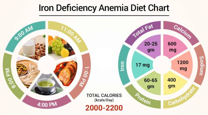 Millions of Women Have Low Iron Levels: The Importance of Addressing Nutritional Deficiencies