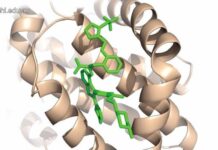 New Compound Shows Promise as Advanced Breast Cancer Treatment: A Scientific Breakthrough