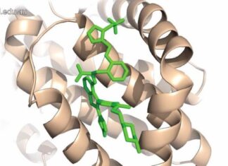 New Compound Shows Promise as Advanced Breast Cancer Treatment: A Scientific Breakthrough