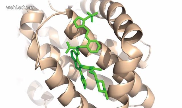 New-compound-shows-promise-in-Treating-Cancer-1-640x380