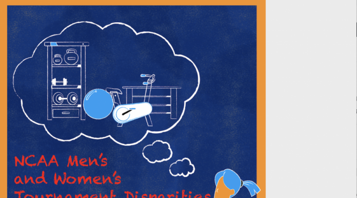 Gender Equity Fraud Exposed in University Athletic Programs