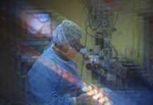 Budget Cuts Threaten Mammography Research: What It Means for Women’s Health