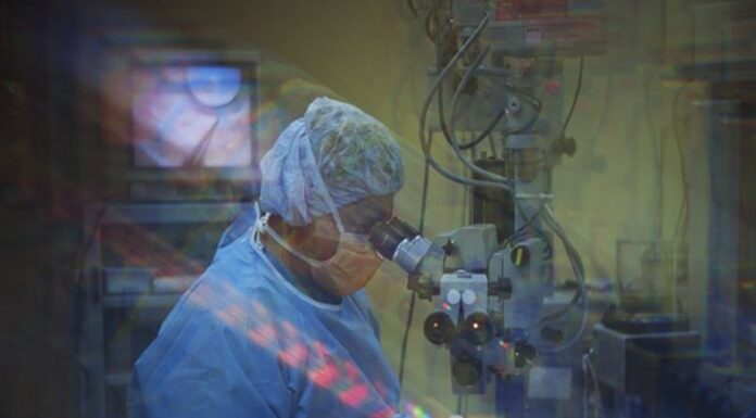 Budget Cuts Threaten Mammography Research: What It Means for Women’s Health