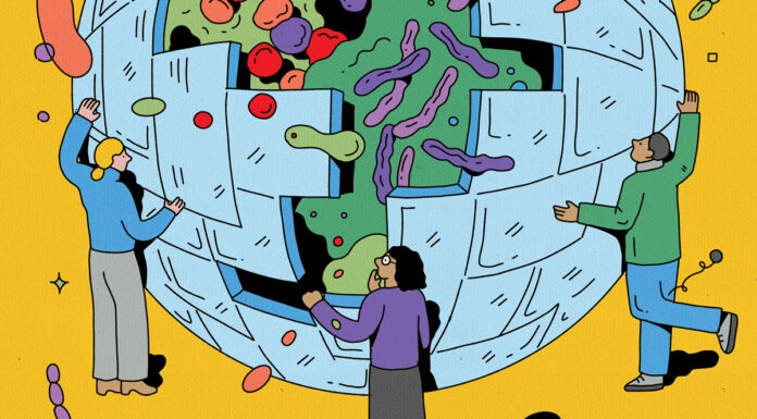 America’s Reproductive Health Crisis: We’ve Got a Clinics Emergency