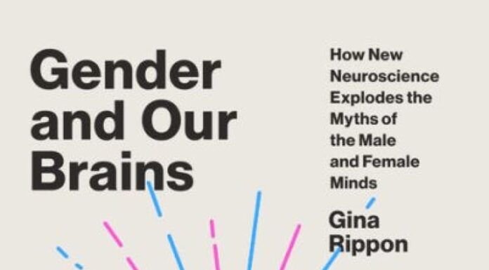 Women’s Brains Last Longer: The Science Behind Female Cognitive Longevity