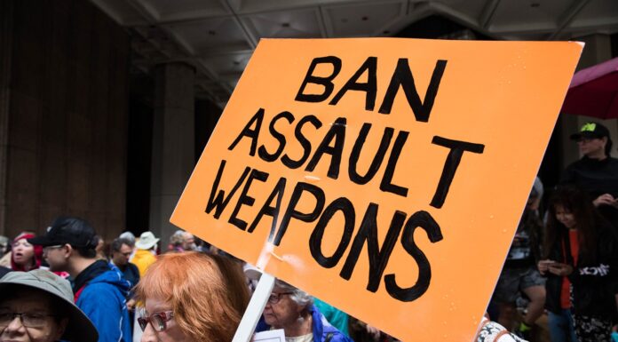 Survivors and Advocates Urge Congress to Pass Common-Sense Gun Reform