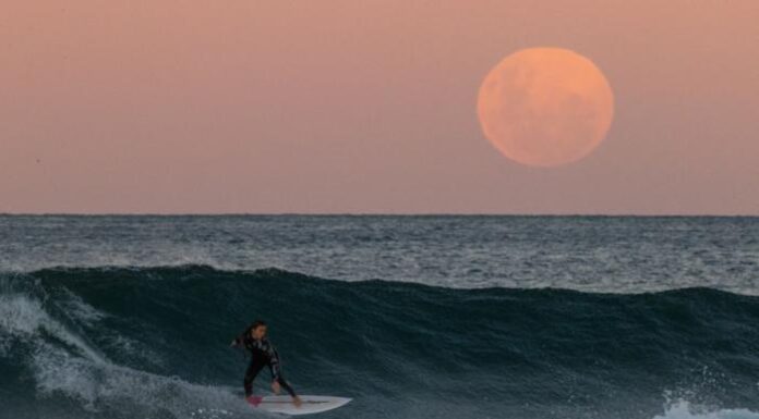 Surfers Push for Gender Equality in Competitive Surfing Scene