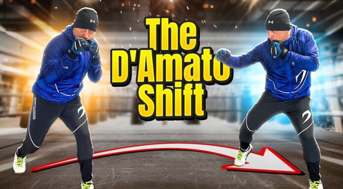 Poll Shows Ferraro Could Easily Defeat D’Amato in 98: The Political Landscape Shifts