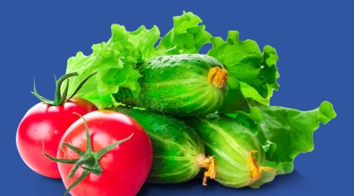 Fish Oil Consumption May Lower Breast Cancer Risk Research Suggests