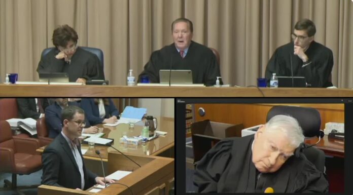 Ninth Circuit Overturns Idaho Abortion Ban and Related Restrictions