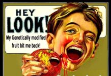 Fighting Frankenfoods: Women Lead the GMO Resistance Movement