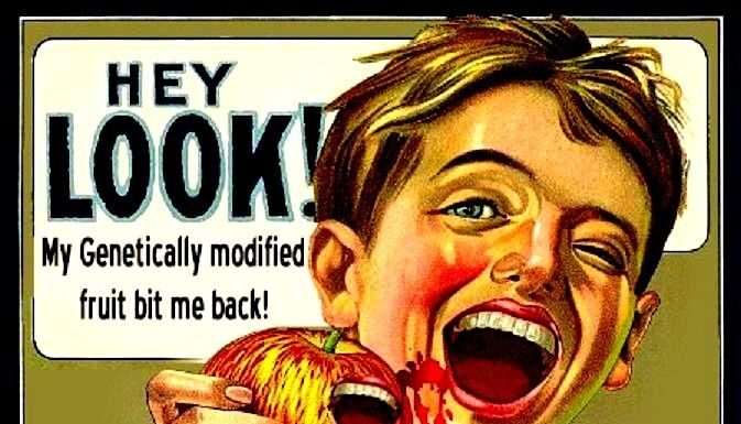 Fighting Frankenfoods: Women Lead the GMO Resistance Movement