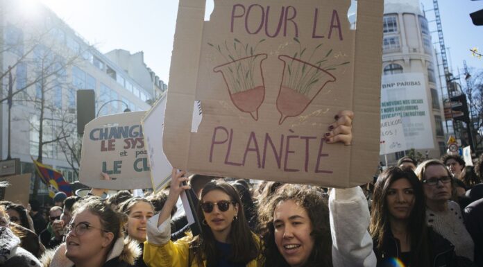 Sur l’écoféminisme : La révolution verte et féministe en marche