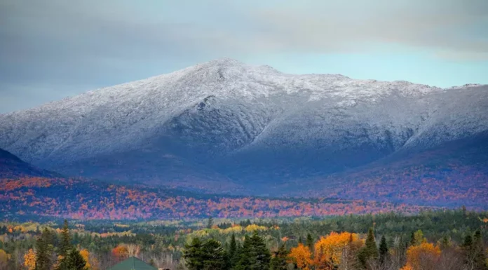 New Hampshire Senate Rejects 24-Hour Waiting Period for Abortion