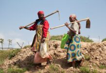Rwandan Women Secure Legal Right to Inherit Property