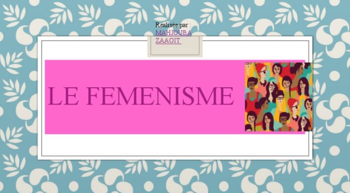 Pourquoi le féminisme est tant critiqué ? Les objections principales
