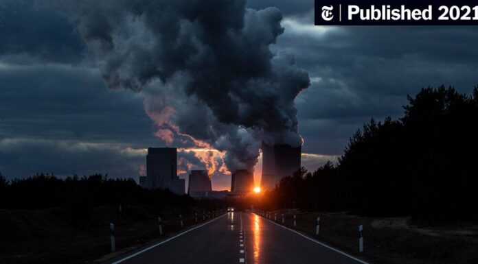 UN Report Warns Urgent Climate Change Action Is Needed Now