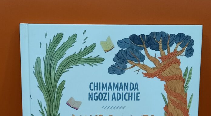 L’auteure dévoilée : derrière “Nous sommes tous des féministes”