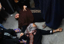 Egyptian Man Kills Wife Over Chicken Dispute in Shocking Case