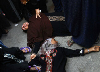 Egyptian Man Kills Wife Over Chicken Dispute in Shocking Case