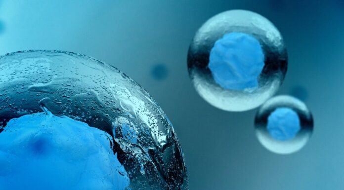 California Approves Billions for Stem Cell Research Funding