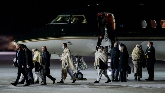 42ff6ddd-d6d9-49cb-a876-1fd06b5aceb8_cx3_cy0_cw94_w1200_r1