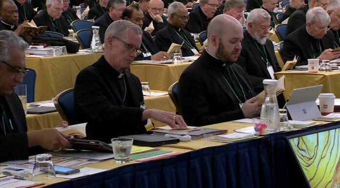 Panel Selected to Revise U.S. Bishops’ Sexual Abuse Policy