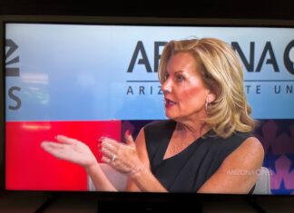 Feminist Candidate Withdraws from Race for Stupak’s Congressional Seat