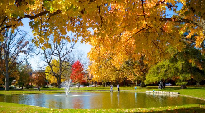 Ohio Terminates State Funding for Planned Parenthood Clinics