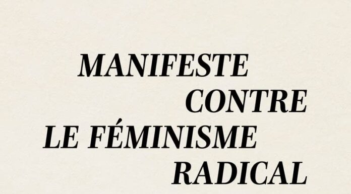 Contre le féminisme radical : nuances et dissensus