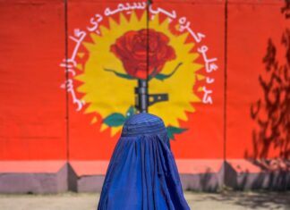 Afghan Woman Honored with Global Health and Human Rights Award