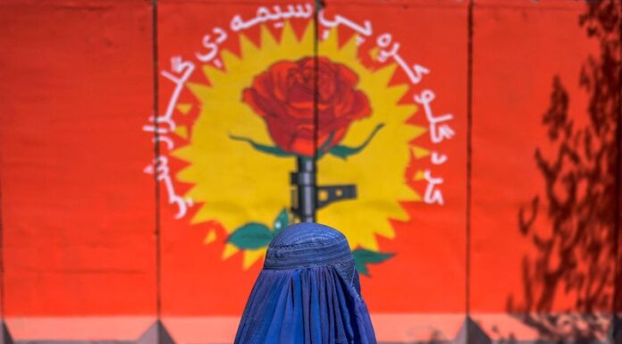 Afghan Woman Honored with Global Health and Human Rights Award