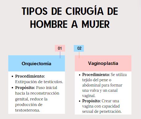 ¿Qué es la cirugía de feminización? Cambios procesos y expectativas