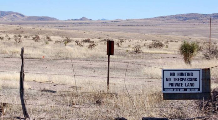 Migrant Child Dies in U.S. Border Patrol Custody: A Growing Crisis