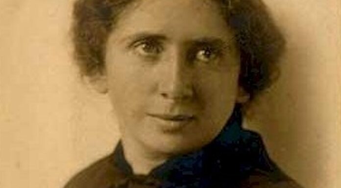 No Belles: The Women History Forgot – And Why That Must Change