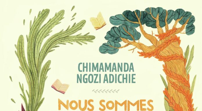 Ebook gratuit : téléchargez « Nous sommes tous des féministes » dès maintenant