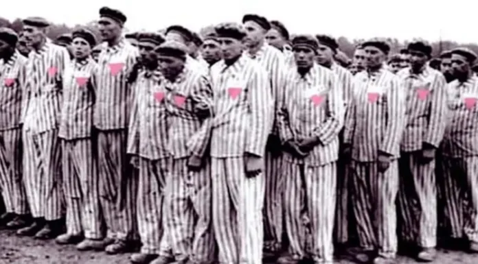 LGBTQ+ Activists Reject Revisionist Holocaust Views: Key Points Explained