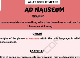 Ad Naseum: Unpacking the Media’s Obsession with Women’s Bodies